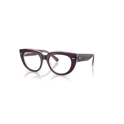 Ray Ban Doreen Optics  Violett Auf Rosa Transparent Fassung Klar Glas Polarisiert 50-19