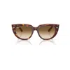 Ray Ban Doreen Sunglasses Light Havana On Transparent Multicolor Frame Brown Lenses 49-20 In Light Havana On Transparent Multicolor