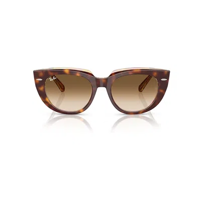 Ray Ban Doreen Sunglasses Light Havana On Transparent Multicolor Frame Brown Lenses 49-20