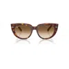 Ray Ban Doreen Sunglasses Light Havana On Transparent Multicolor Frame Brown Lenses 52-20 In Light Havana On Transparent Multicolor