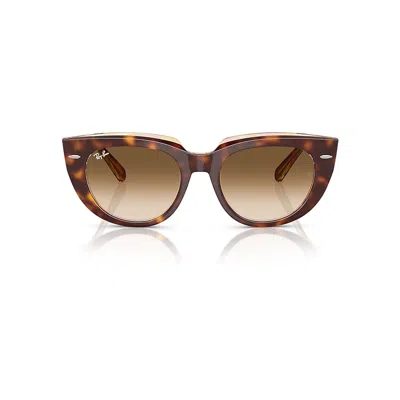 Ray Ban Doreen Sunglasses Light Havana On Transparent Multicolor Frame Brown Lenses 52-20