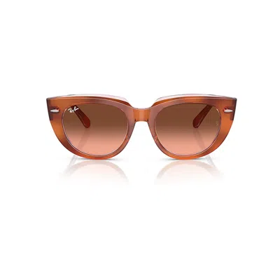 Ray Ban Doreen Sunglasses Red Havana On Transparent Multicolor Frame Pink Lenses 52-20