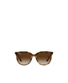 Ray Ban Emblem Daidai Pattern Sunglasses In Brown