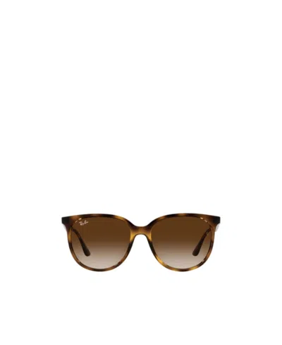Ray Ban Emblem Daidai Pattern Sunglasses In Brown