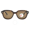 Ray Ban Erik Polarized Brown Square Unisex Sunglasses Rb4398 902/57 53 In Brown