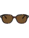 Ray Ban Erik Sunglasses Havana Frame Brown Lenses Polarized 53-20 In Braun
