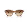 Ray Ban Erik Sunglasses Striped Brown Frame Brown Lenses 53-20 In Striped Brown