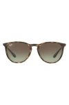 Ray Ban Ray-ban Erika 54mm Gradient Round Sunglasses