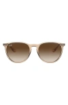 Ray Ban Ray-ban Erika 54mm Gradient Round Sunglasses In Brown/brown Gradient