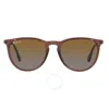 Ray Ban Erika Classic Brown Gradient Phantos Ladies Sunglasses Rb4171 6593t5 54 In Brown / Dark