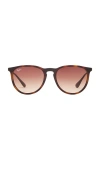 RAY BAN ERIKA CLASSIC OVAL SUNGLASSES