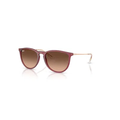 Ray Ban Erika Classic Sonnenbrillen Gummi Violett Fassung Rosa Glas 54-18