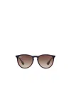 Ray Ban Ray-ban Erika Classic Sunglasses In Brown