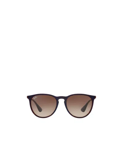 Ray Ban Ray-ban Erika Classic Sunglasses In Brown