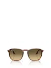 Ray Ban Erika Round-frame Sunglasses