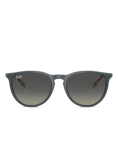 Ray Ban Erika Sunglasses In Gray
