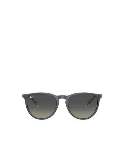 Ray Ban Erika Sunglasses In Metallic