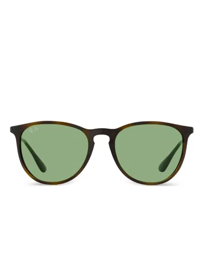 Ray Ban Erika Sunglasses In Brown