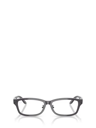 Ray Ban Ray-ban Eyeglasses In Gray