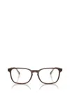 Ray Ban Ray-ban Eyeglasses In Brown