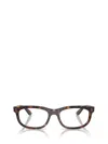 Ray Ban Ray-ban Eyeglasses In Brown