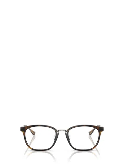Ray Ban Ray-ban Eyeglasses In Brown
