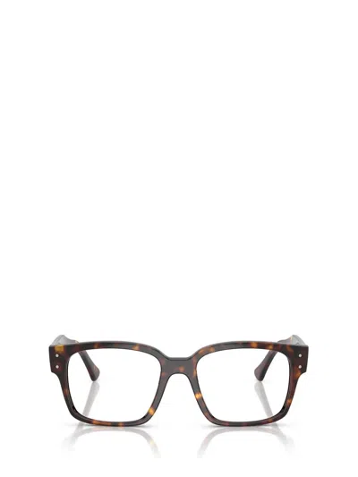Ray Ban Ray-ban Eyeglasses In Brown