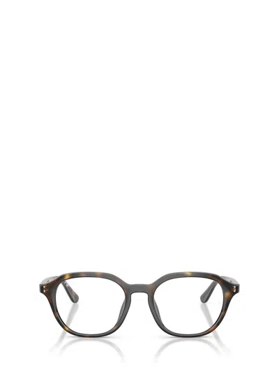 Ray Ban Ray-ban Eyeglasses In Brown