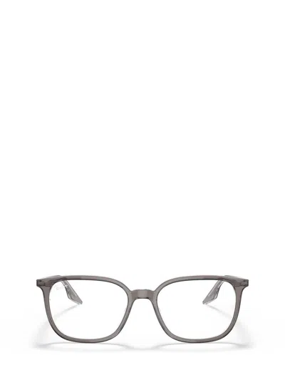 Ray Ban Ray-ban Eyeglasses In Grey On Transparent