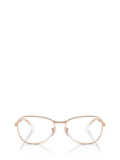 Ray Ban Ray-ban Eyeglasses In Pink