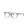 Ray Ban Elliot Optics  Braun Gestreift & Rot Fassung Demo Gläser Glas Polarisiert 50-19 In Striped Brown & Red