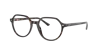 Ray Ban Thalia Optics Eyeglasses Tortoise Frame Clear Lenses Polarized 51-18 In Tortoise