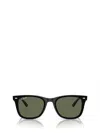 Ray Ban Ray In Black