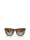 Ray Ban Eyewear In Brown
