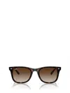 Ray Ban Ray-ban Womens Brown Rb4420 Square-frame Injected Sunglasses In Brown