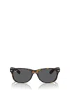 Ray Ban Ray-ban New Wayfarer 55mm Rectangular Sunglasses In Brown