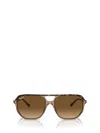 Ray Ban Womens Gold Rb2205 Rectangle-frame Acetate Sunglasses In Havana On Transparent Brown