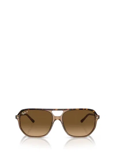 Ray Ban Womens Gold Rb2205 Rectangle-frame Acetate Sunglasses In Havana On Transparent Brown