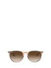 Ray Ban Ray In Transparent Light Brown