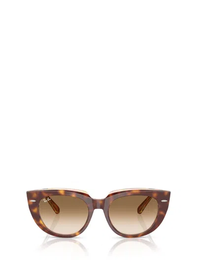 Ray Ban Full Frame Sunglasses