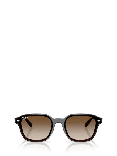 Ray Ban Full Frame Sunglasses In Brown
