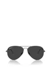 Ray Ban Full Frame Sunglasses