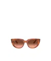 Ray Ban Doreen Sunglasses Red Havana On Transparent Multicolor Frame Pink Lenses 52-20 In Brown
