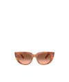 Ray Ban Full Frame Sunglasses In Brown