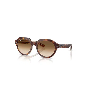 Ray Ban Gina Sonnenbrillen Hell Havana Auf Multicolor Fassung Braun Glas 51-21