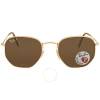 Ray Ban Hexagonal Flat Lenses Polarized Brown Unisex Sunglasses Rb3548n 001/57 51 In Brown / Gold
