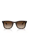 Ray Ban Ray-ban Womens Brown Rb4420 Square-frame Injected Sunglasses In Brown