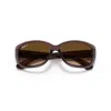 Ray Ban Jackie Ohh Transparent Sunglasses Transparent Dark Brown Frame Brown Lenses Polarized 58-17 In 6593m2