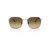 Ray Ban Jim Sunglasses Gunmetal Frame Brown Lenses 55-20 In Gunmetal