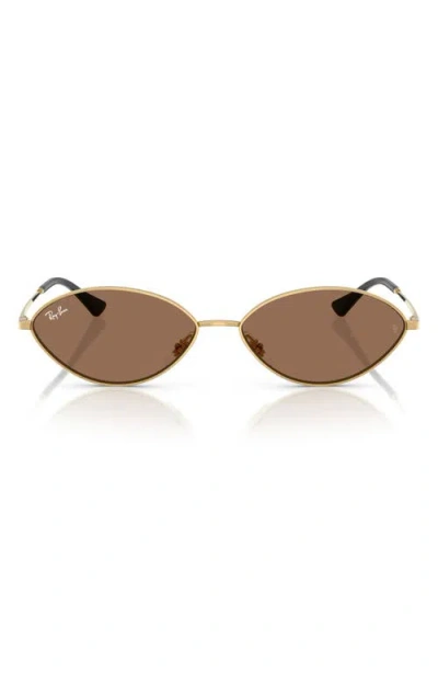 Ray Ban Ray-ban Kai 56mm Oval Sunglasses In Multi